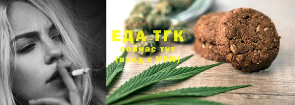 хмурый Ельня