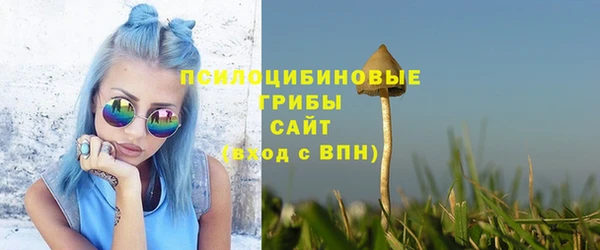 хмурый Ельня