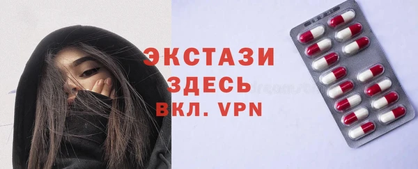хмурый Ельня