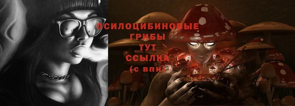 не бодяженный Елабуга