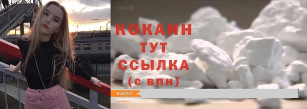 хмурый Ельня