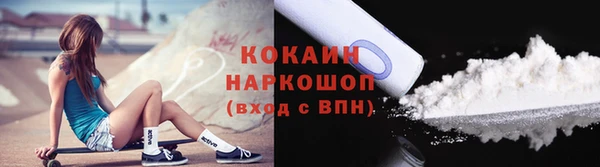 хмурый Ельня