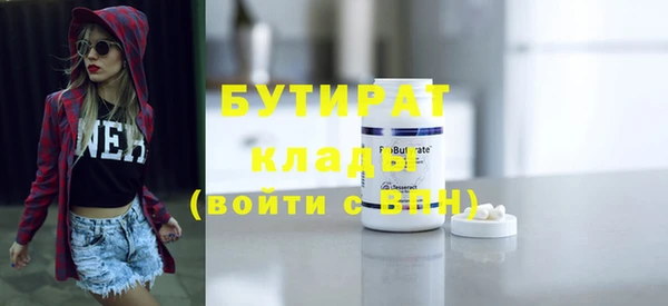 хмурый Ельня