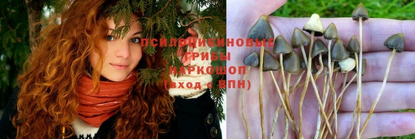 стафф Заволжск