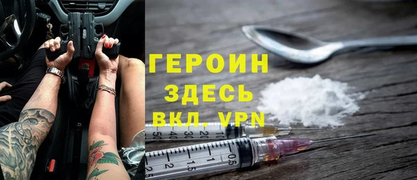 хмурый Ельня